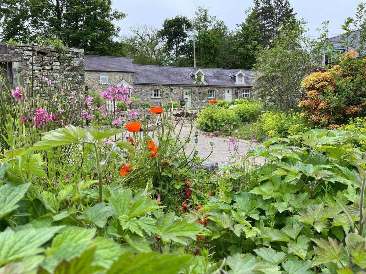 Willa Crug Yr Eryr Isaf Llandysul Zewnętrze zdjęcie